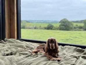 Dog Friendly Off Grid Alcor Shack in Staffordshire Woodland